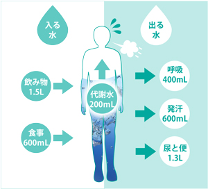 成人1日の水分摂取量、排出量