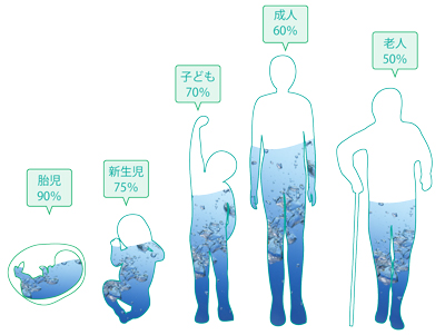 人間の水分量